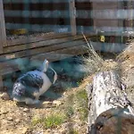 شقة Les Casots Rouffiac-des-Corbières