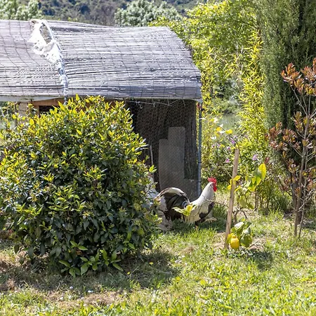 Apartment Les Casots *